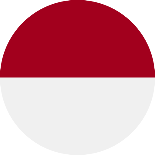 language icon