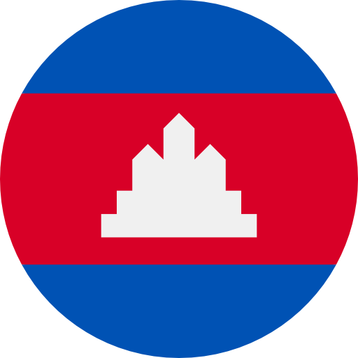language icon