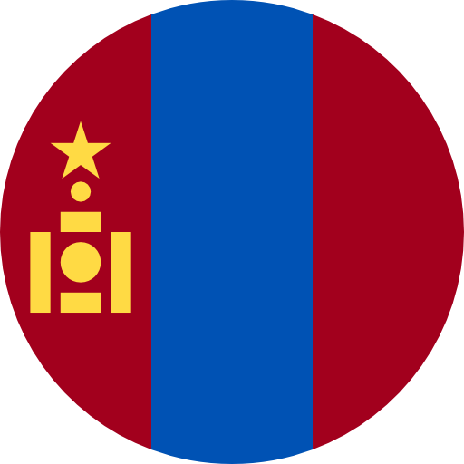 language icon