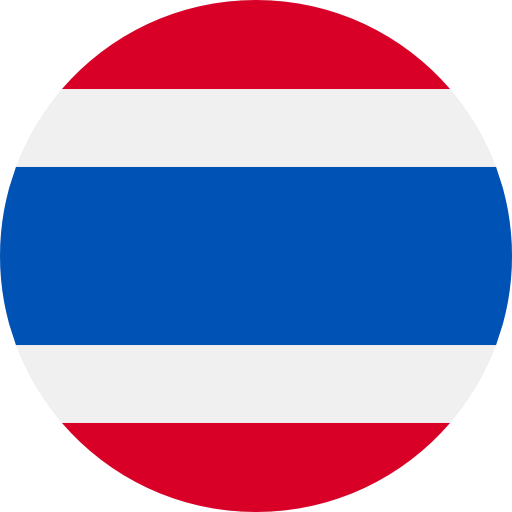 language icon