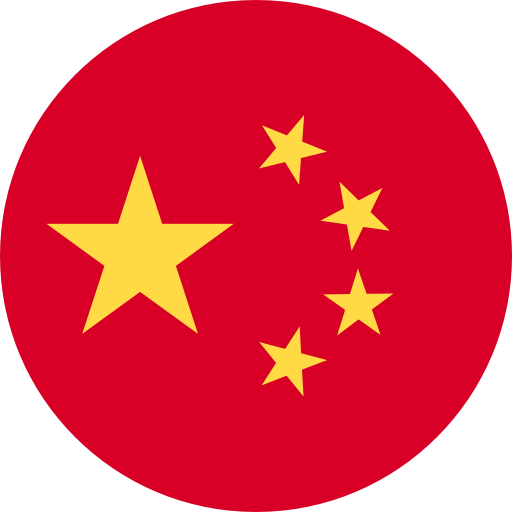 language icon